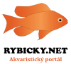 rybicky.net